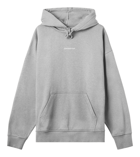 Hoodie 1.01